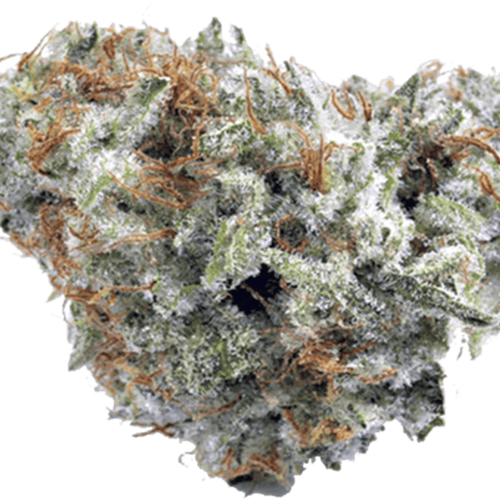GG4娱乐大麻